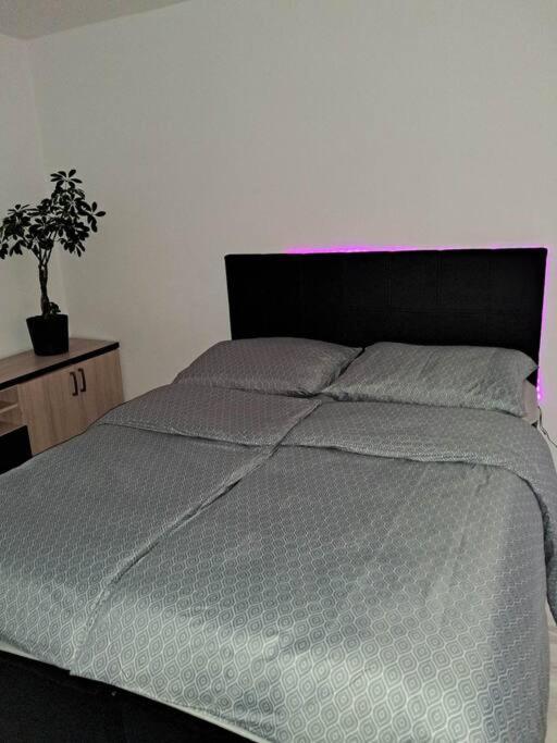 Apartament Na 4 Pietrze Nowy Targ Eksteriør bilde