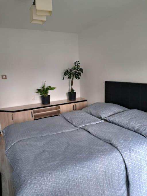 Apartament Na 4 Pietrze Nowy Targ Eksteriør bilde
